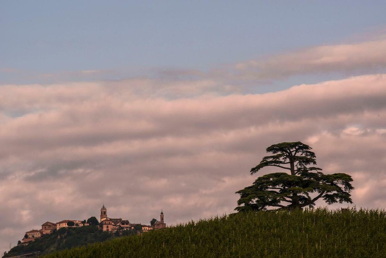 Villa Goccia Di Vino 拉莫拉 外观 照片